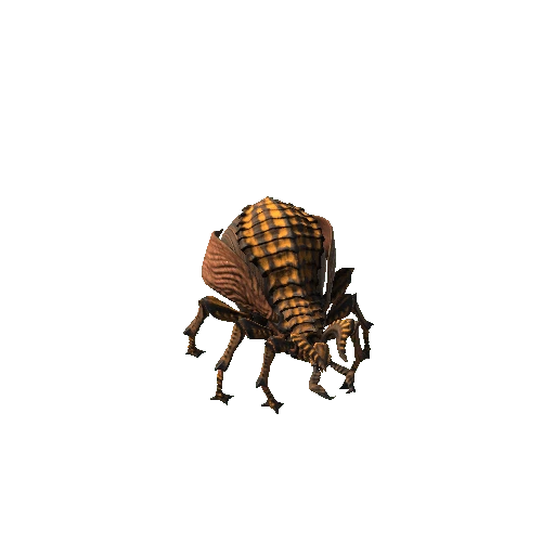 Bomber Bug